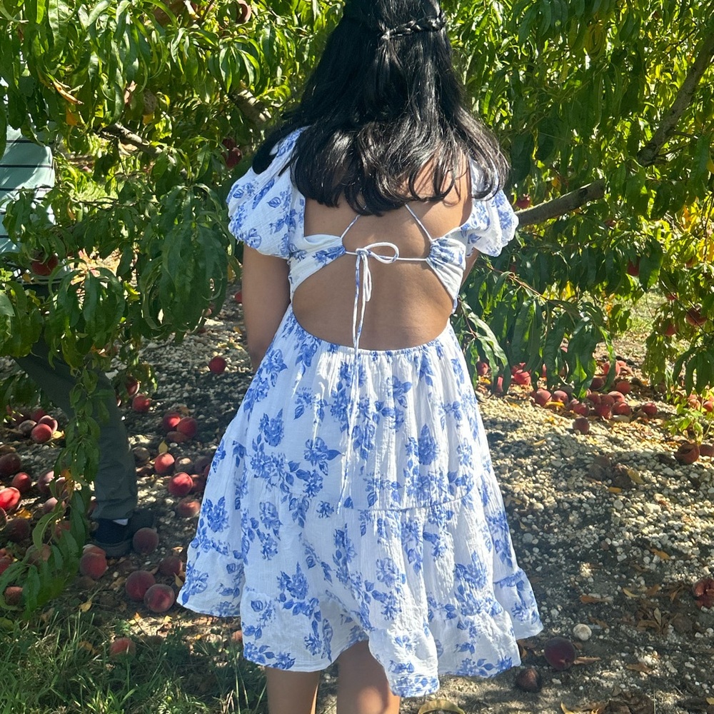 Princess Polly dress